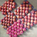 Top Quality of Fresh Red Qinguan Apple